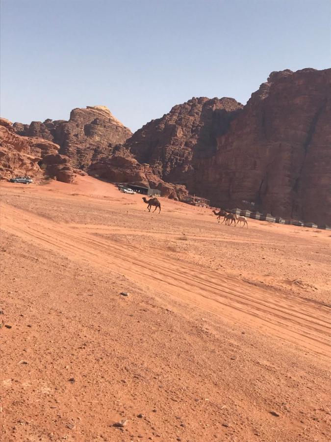 Hotel Bedouin House Camp Wadi Rum Exterior foto